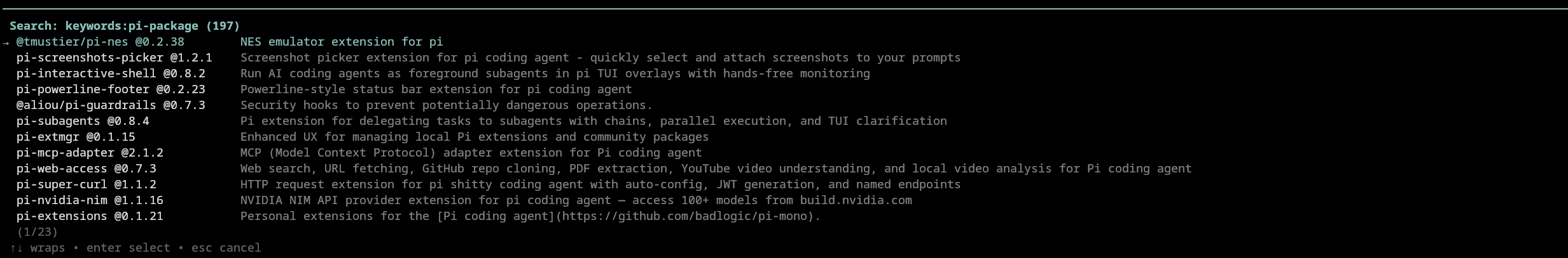 Remote browser showing npm packages
